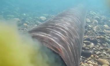 Preocupación por el Río Chimehuín: Informe Técnico Revela Impactos Ambientales Crecientesen los ultimos 20 años.