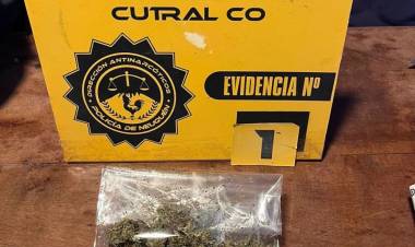 La Policía obtuvo resultados positivos en tres operativos antinarcóticos