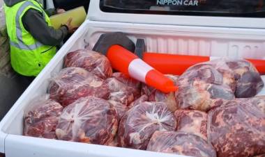 Cippa Nqn controles en la ruta  