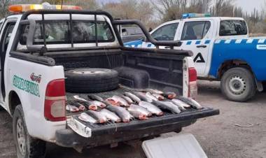 Neuquén refuerza la seguridad rural y ambiental con el control de la fauna silvestre