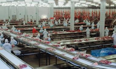 Crisis en los frigoríficos: el creador del Paty frena la faena y suspende a 450 empleados