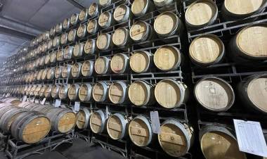 Cheques rechazados y embargos: una bodega sanjuanina se suma a la lista de firmas en crisis