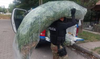 Desarticularon bandas dedicadas al narcomenudeo tras varios allanamientos