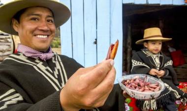 CAVIAHUE COPAHUE La Fiesta del Piñón con fuerte convocatoria y agenda completa