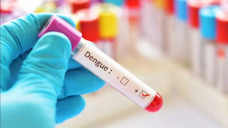 Aumentan casos de dengue: cuánto cuesta el test y cuándo conviene hacerlo