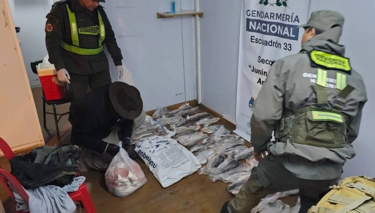 49 ejemplares de trucha arco iris secuestradas en el acceso norte a Junín de los Andes