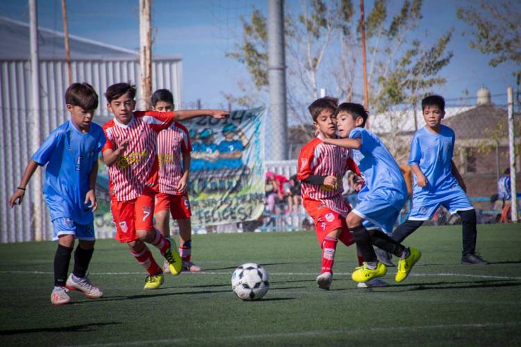 Torneo Infantil/Juvenil De Futbol Infantil 