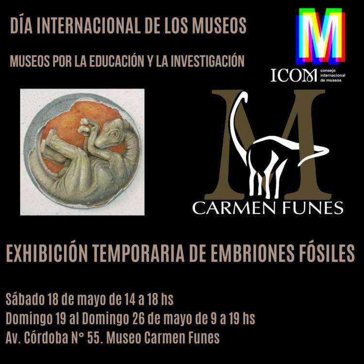 Día Internacional de los Museos. 