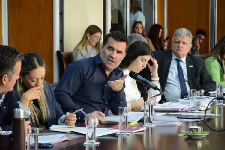 El diputado Darío Martínez criticó el tratamiento exprés de leyes en Legislatura