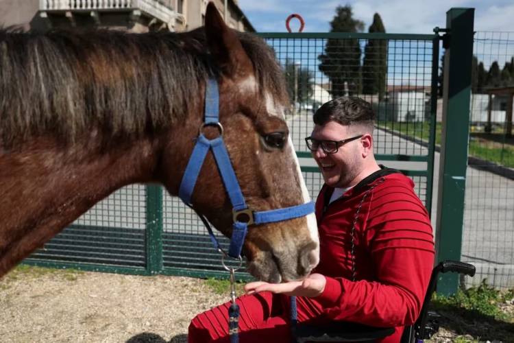 Caballos de terapia: una esperanza para pacientes neurológicos en la recuperación de habilidades motoras y confianza