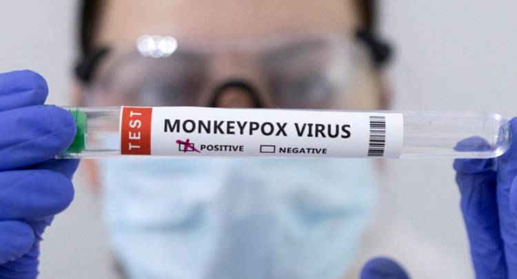 Volvió la viruela del mono: la OMS decretó nuevamente la emergencia sanitaria mundial