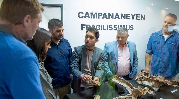 Presentaron al Campananeyen, un nuevo dinosaurio neuquino