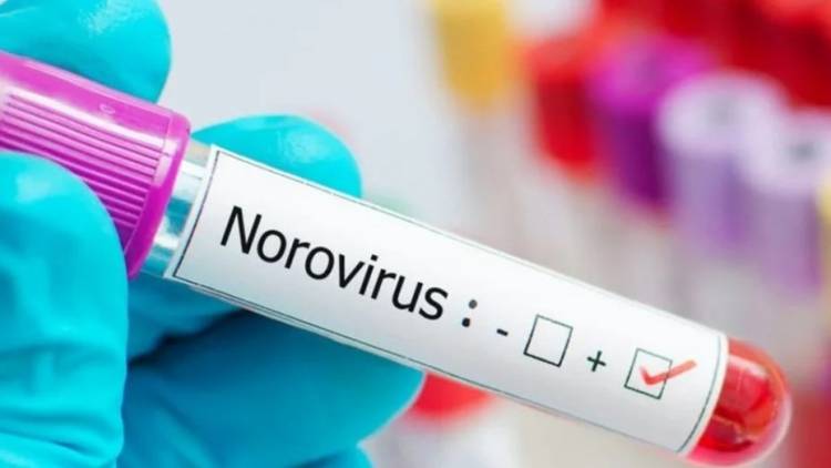 Un brote de norovirus afectó a 180 estudiantes mientras disfrutaban de su viaje de egresados en Bariloche.