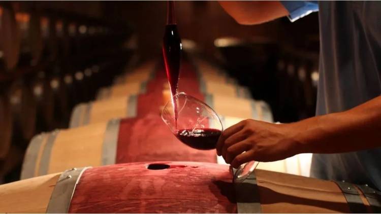 Delicadeza, creatividad y pasión: las mujeres que hacen vino en la Argentina y deslumbran al mundo