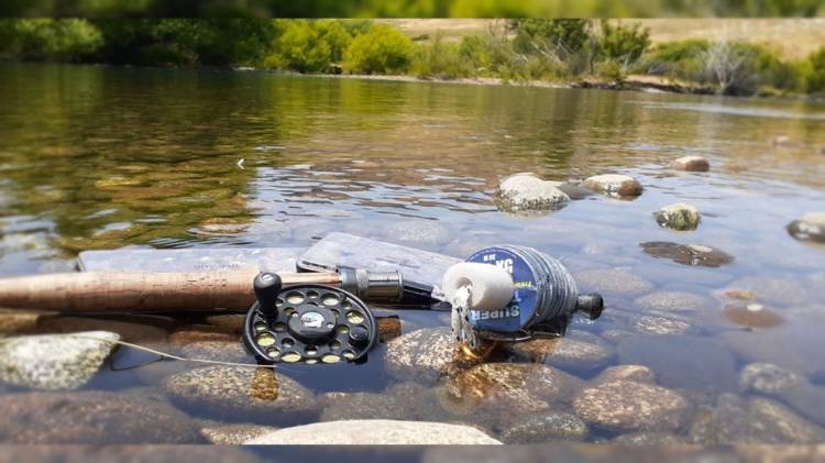 Consejos antes de salir a pescar truchas por primera vez