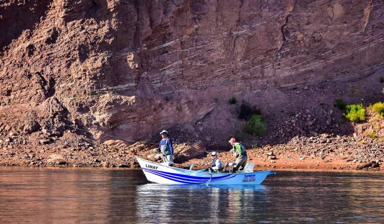 Se abrió la temporada de pesca: ¿Cuánto salen los permisos en Neuquén?