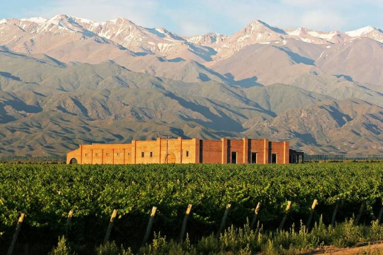 Seis bodegas argentinas fueron elegidas entre las 50 mejores del mundo, por un prestigioso ranking internacional