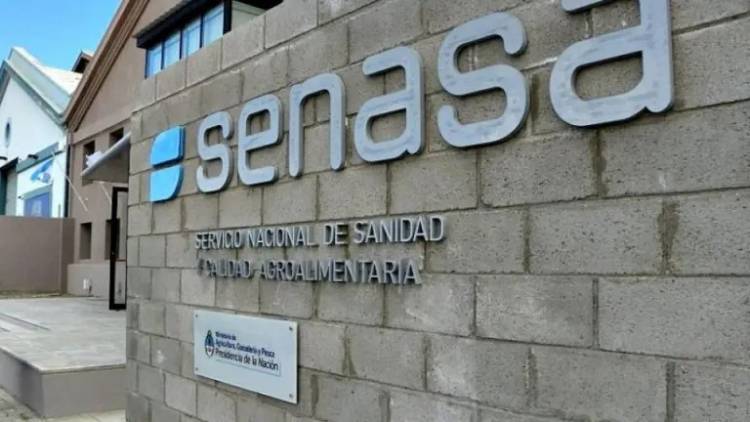 Argentina abrió la exportación a Ecuador de cítricos dulces, limón y carne bovina con hueso
