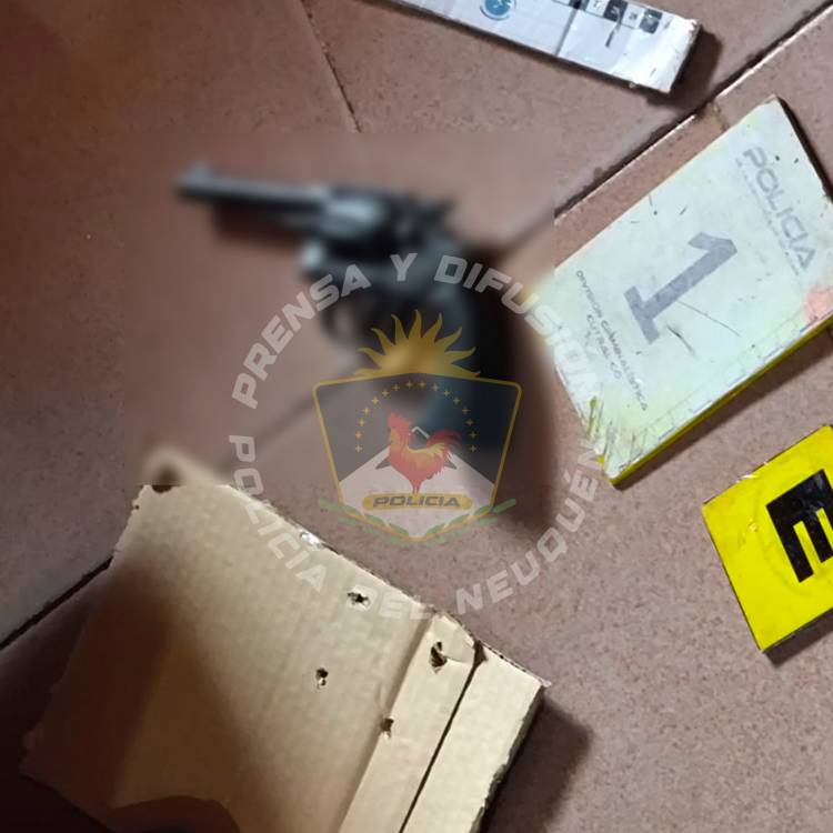 Secuestran armas de fuego y municiones en allanamientos 