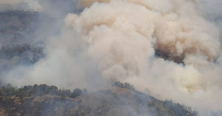 Incendio Valle Magdalena – zona centro del Parque Nacional Lanín