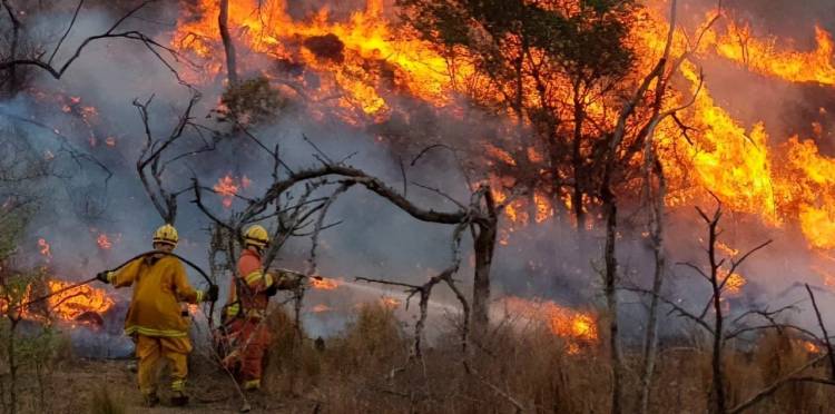 Protestas en la Patagonia por incendios: críticas a la gestión y detención de activistas mapuches