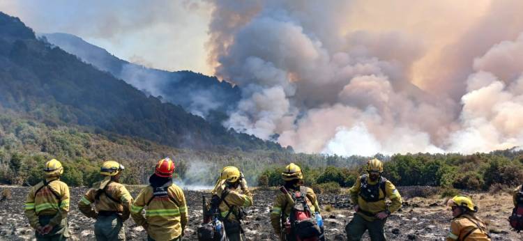 Incendio Valle Magdalena – Parque Nacional Lanín