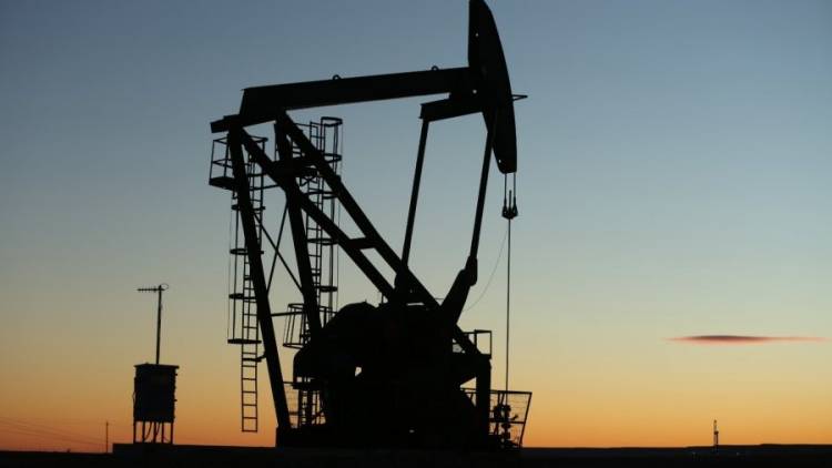 Seguros: ¿Cómo se protege la industria ante eventualidades?