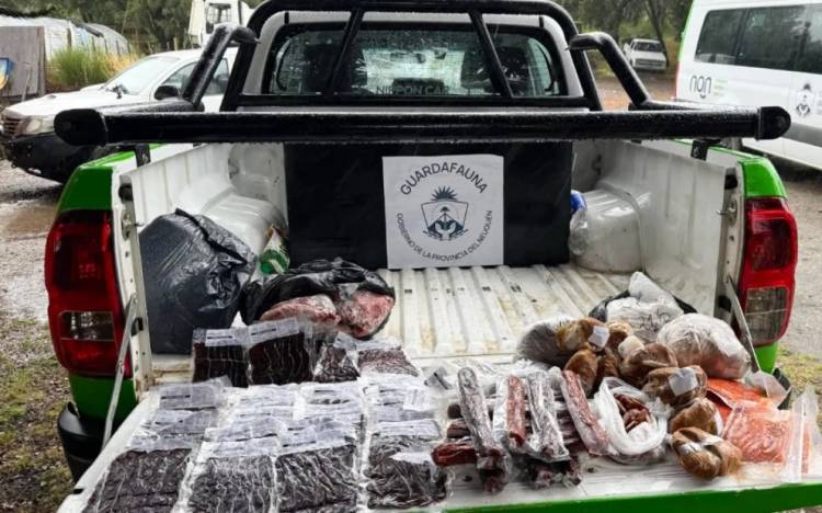 El área de Fauna Infraccionó comercios en Villa Traful