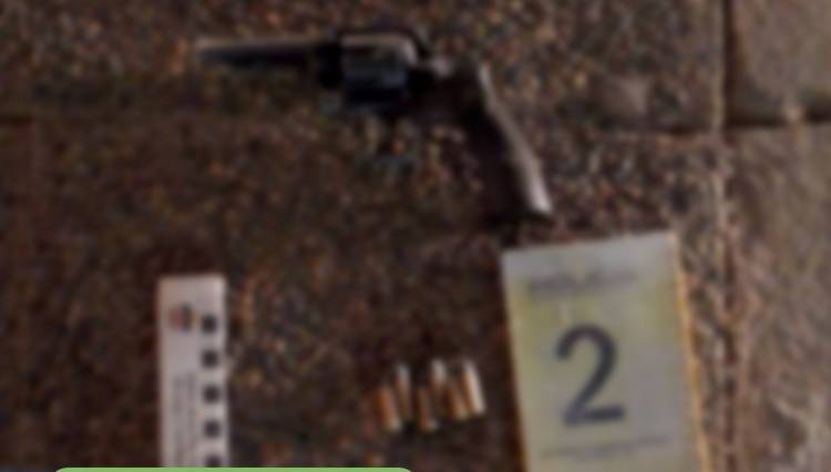 Plaza Huincul:  Demorados con un arma de fuego 
