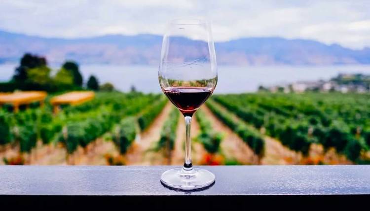 Día Mundial del Malbec: 5 vinos de alta gama recomendados por una sommelier argentina