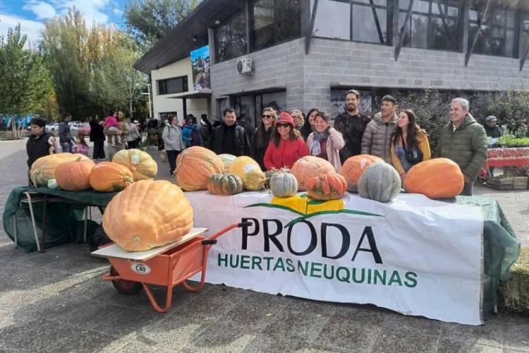 Conocé a los ganadores del concurso Ciudad Zapallo