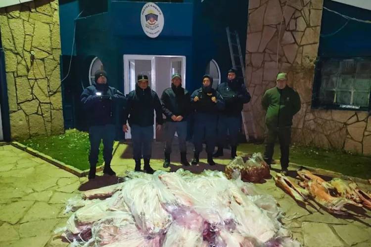 Decomisan más de 700 kilos de carne que ingresaba a la provincia de manera ilegal