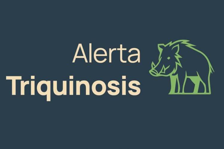 SAN MARTIN DE LOS ANDES Detectan triquinosis en jabalí y advierten sobre consumo de carne en Quila Quina