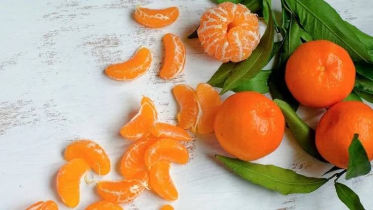 Conoce cómo germinar semillas de mandarina, paso a paso: ¡Muy fácil!