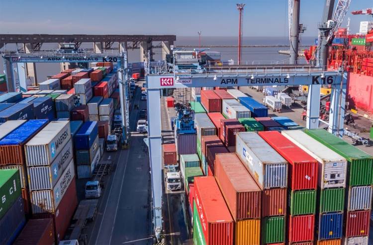 La Aduana cerró una de las terminales portuarias de Buenos Aires ante los desmanejos que se denuncian a diario
