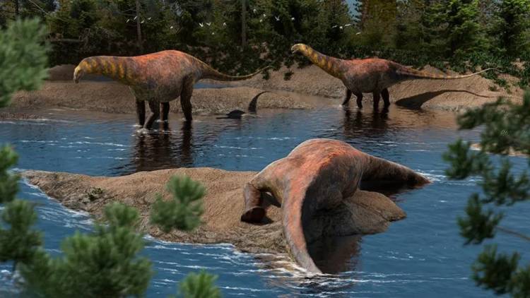Descubren en Añelo una nueva especie de dinosaurio saurópodo de 18 metros