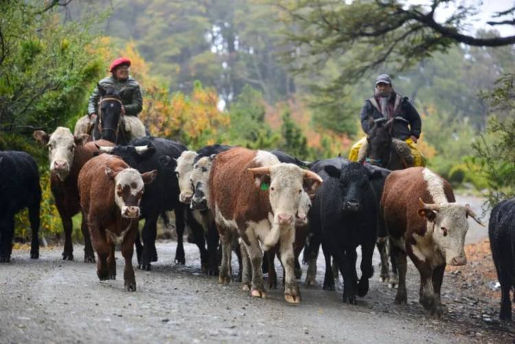 La próxima semana cerrarán dos días la ruta a Huechulafquen