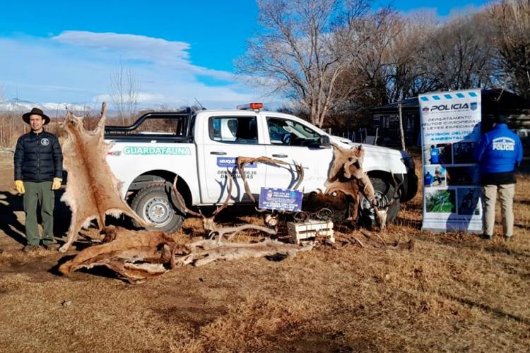 Fauna y Policía desbarataron banda de cazadores furtivos