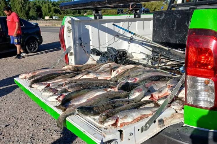 Decomisaron 197 truchas y se labraron 90 actas de infracción durante el fin de semana largo