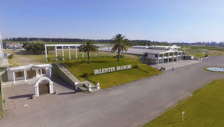 Bodegas Bianchi enfrenta una crisis financiera histórica