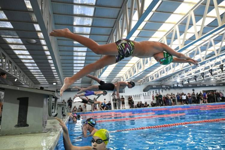 Cutral Co Es Sede De La Tercera Fecha Del Torneo Provincial De Natación